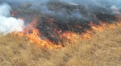 Սյունիքի մարզի Շիկահող գյուղում այրվում է խոտածածկ տարածք. հրդեհը մեկուսացվել է