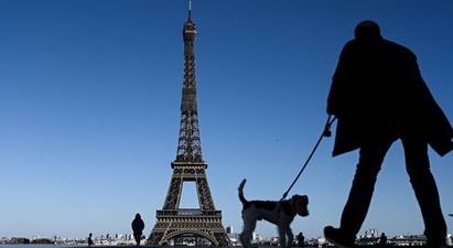 Ֆրանսիայում շներին սովորեցնում են գտնել կորոնավիրուսով հիվանդներին