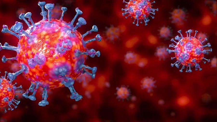 Արցախից թեստավորված 44 անձանց մոտ կորոնավիրուս չի հայտնաբերվել․ 31-ի թեստերի արդյունքները հայտնի կլինեն վաղը