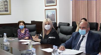 Հայ և վրացի մասնագետներն առցանց հանդիպմանը ներկայացրել են կորոնավիրուսի դեմ պայքարի փորձը

