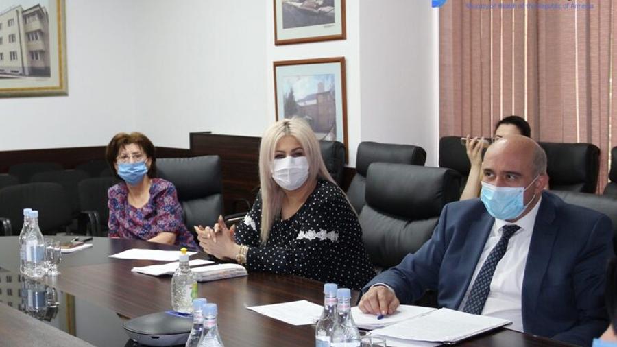 Հայ և վրացի մասնագետներն առցանց հանդիպմանը ներկայացրել են կորոնավիրուսի դեմ պայքարի փորձը
