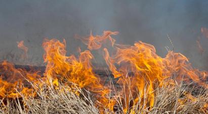 Հրազդանի կիրճում բռնկված հրդեհը մարվել է. այրվել է 4 հա բուսածածկ տարածք, 11 ծառ և 14 կոճղ
