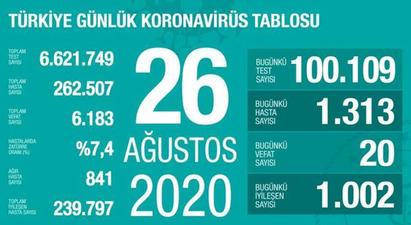 Թուրքիայում կտրուկ ավելացրել են կորոնավիրուսի թեստավորման ծավալները |ermenihaber.am|