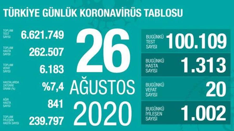 Թուրքիայում կտրուկ ավելացրել են կորոնավիրուսի թեստավորման ծավալները |ermenihaber.am|
