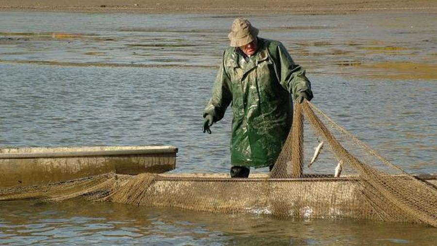 ՇՄ նախարարությունը ձեռնամուխ է եղել Սևանա լճից ապօրինի ձկնորսությամբ զբաղվողների ցանցերի ոչնչացմանը