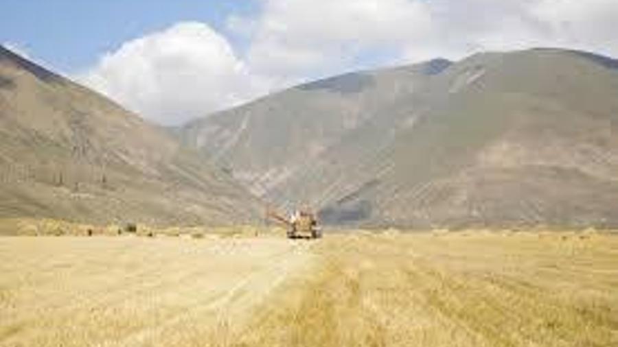 Արցախում վարելահողերի կորստի պատճառով գյուղատնտեսության պետական աջակցության նոր ծրագիր է մշակվել |hetq.am|