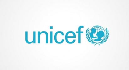 Մենք բոլորս լրատվամիջոցներից ենք իմացել․ ՅՈՒՆԻՍԵՖ Հայաստանի հաղորդակցման թիմի ղեկավարը՝ ՀՀ-ում UNICEF-ի ներկայացուցչի պաշտոնավարումը դադարեցնելու մասին |tert.am|