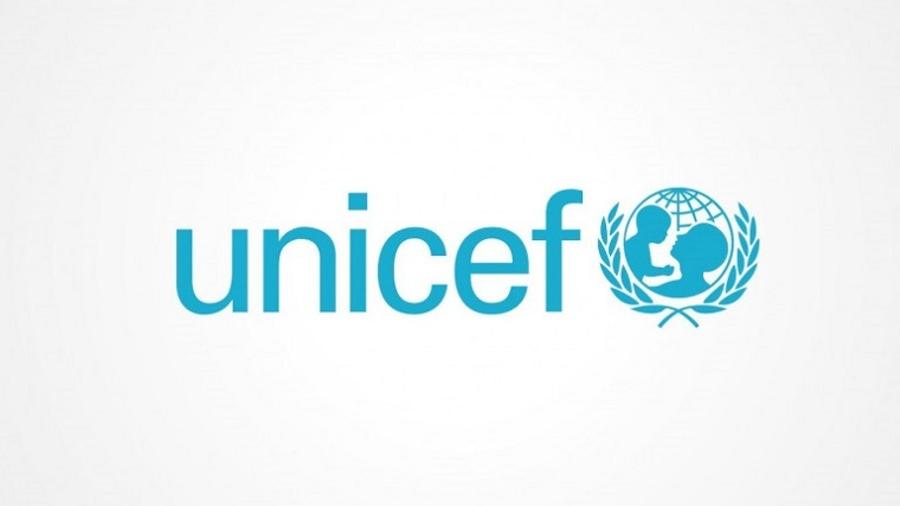 Մենք բոլորս լրատվամիջոցներից ենք իմացել․ ՅՈՒՆԻՍԵՖ Հայաստանի հաղորդակցման թիմի ղեկավարը՝ ՀՀ-ում UNICEF-ի ներկայացուցչի պաշտոնավարումը դադարեցնելու մասին |tert.am|