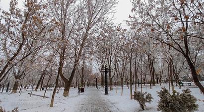 Շիրակի, Արագածոտնի և Լոռու մարզերում ձյուն է տեղում
