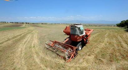 Պետությունը գյուղատնտեսական կոոպերատիվների համար ստեղծում է ավելի բարենպաստ հարկային միջավայր |armenpress.am|