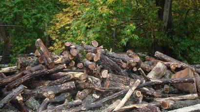 Մեկուկես ժամում Լոռիում հայտնաբերվել է առերևույթ ապօրինի փայտանյութով 19 բեռնատար
