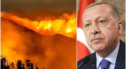 Էրդողանը հայտարարել է Թուրքիայում անտառներ հրկիզելու համար կասկածվողի ձերբակալման մասին |tert.am|