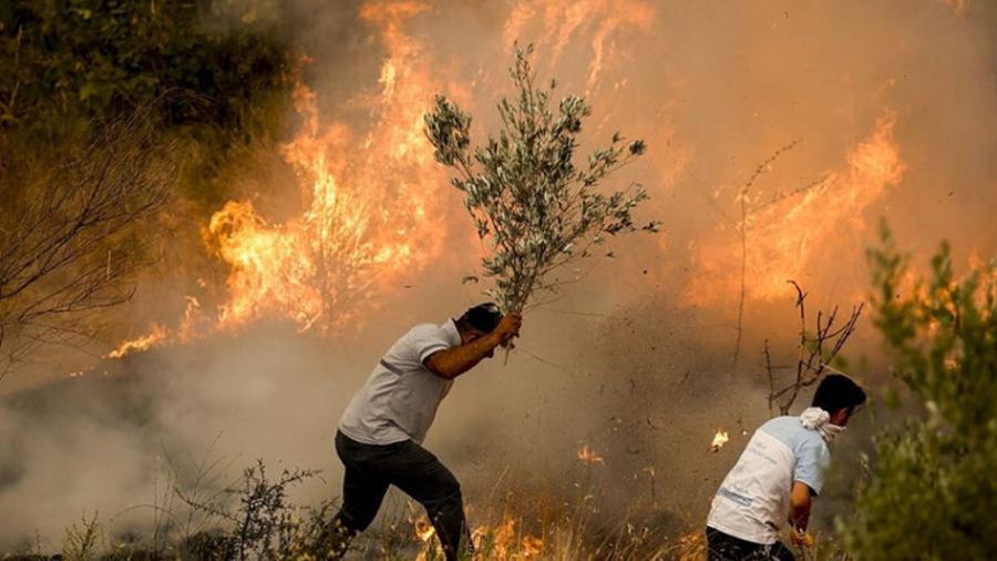 Թուրքիայում անտառային հրդեհներից տուժածների թիվը հասել է 410-ի |tert.am|