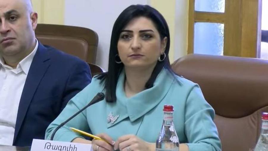 “Azerbaijani actions against Armenians must be designated as genocide” – Academic discussion on pogroms |armenpress.am|

