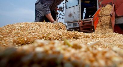 Ռուսաստանը ցանկանում է, որ ԵԱՏՄ երկրները տուրքեր սահմանեն հացահատիկի արտահանման համար․ «Կոմերսանտ»