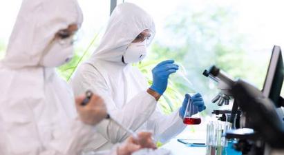 ԱՀԿ-ն «կապիկների ծաղկի» վիրուսի անվանումը կփոխի գիտնականների խնդրանքով

 |armenpress.am|