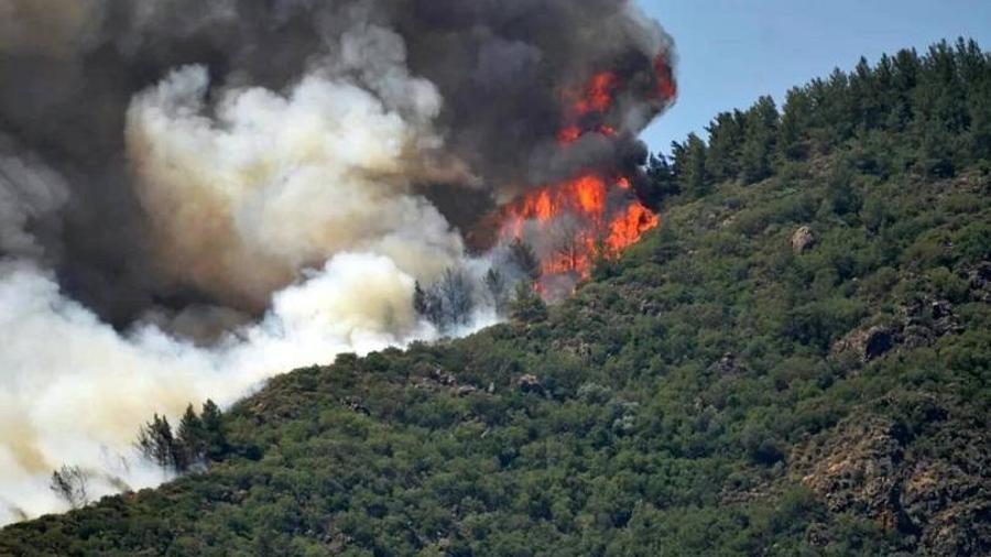 Թուրքիայի Մարմարիս հանգստավայրի տարածքում անտառային հրդեհներ են մոլեգնել. տարհանվել են տեղի բնակիչները
 |armtimes.com|