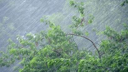Հորդառատ անձրևի և ուժգին քամու ավերածությունների մասին Երևանի տարբեր շրջաններից 380 ահազանգ է եղել. ԱԻ նախարար
