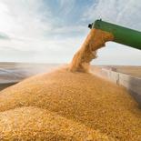 Արցախի կառավարության որոշմամբ հուլիսի 1-ից արգելվել է ցորենի և գարու, այդ թվում՝ ցորենի և գարու սերմացուների արտահանումը ԱՀ տարածքից: |artsakhpress.am| |artsakhpress.am|