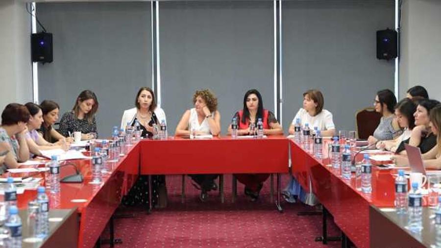 ՄԻՊ-ը մասնակցել է «Գենդերային բռնության հիմնախնդրի հասցեագրումը Հայաստանում» թեմայով հանդիպմանը
