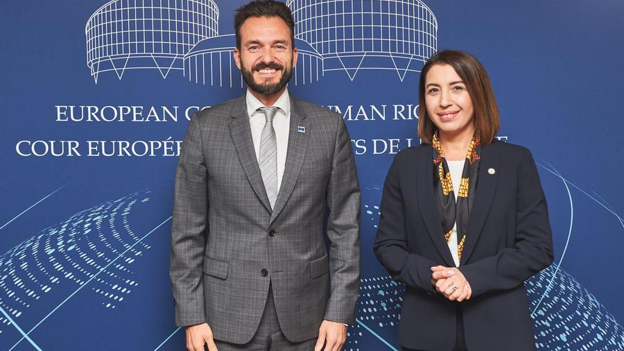 Защитник прав человека Армении Кристине Григорян встретилась с председателем ЕСПЧ Робертом Спано 