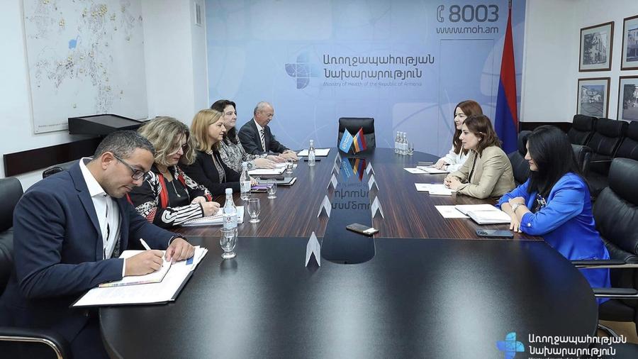 Anahit Avanesyan presented to the WHO delegation the improvement works in the primary healthcare sector