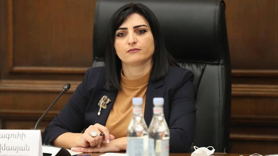 «Ադրբեջանը էմոցիոնալ և հոգեբանական բռնության է ենթարկել 19 հայ երեխայի»․ Թովմասյանը հրատապ նամակներ է ուղարկելու միջազգային իրավասու մարմիններին