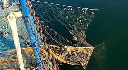Սևանա լճից դուրս է բերվել 95 ապօրինի խեցգետնաորսիչ և 41 ձկնորսական ցանց