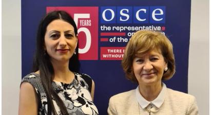 ՄԻՊ-ը ԵԱՀԿ ներկայացուցչի հետ անդրադարձել է Ադրբեջանի հայատյաց քաղաքականությանը