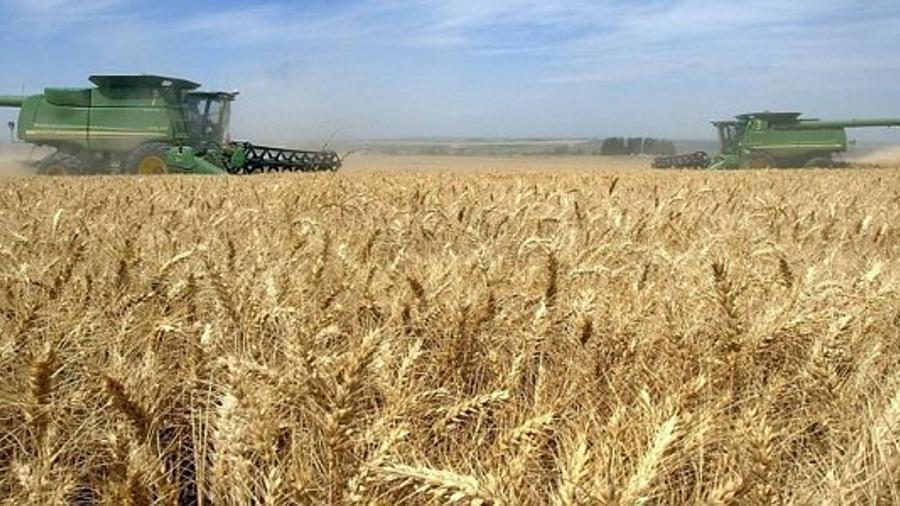 Հայաստանից ցորենի, գարու, եգիպտացորենի, հնդկացորենի, արևածաղկի սերմի, ձեթի արտահանման արգելքի ժամկետը երկարաձգվել է 6 ամսով  |news.am|