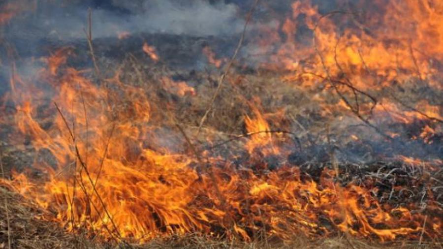 Իսակովի պողոտայում հրդեհ է բռնկվել. շուրջ 3000 քմ խոտածածկ տարածք է այրվում