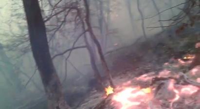 Խոշոր հրդեհ Տավուշում. այրվում են ծառեր. ներգրավվել է 40-ից ավելի փրկարար. Կրակը դեռ չի մարվել