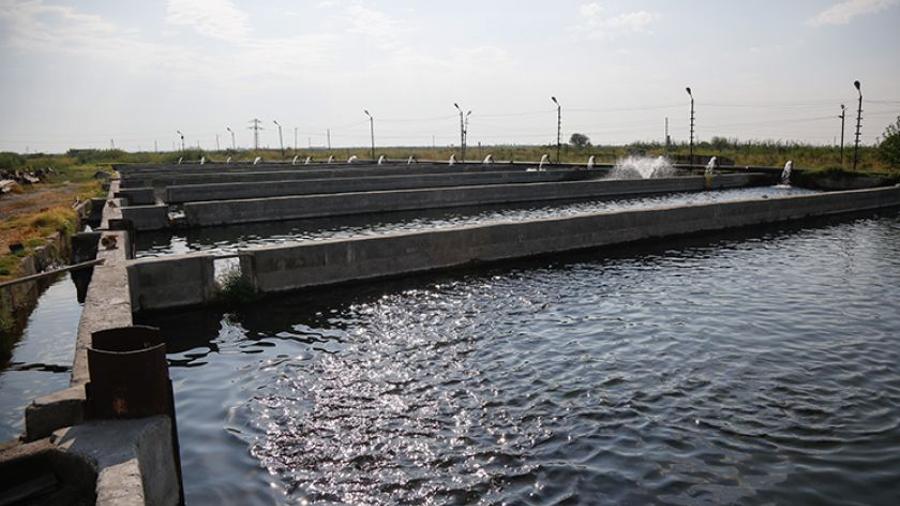 Ոռոգման ջուրը չի թանկացել.  ջրային կոմիտեի պարզաբանումը |armenpress.am|