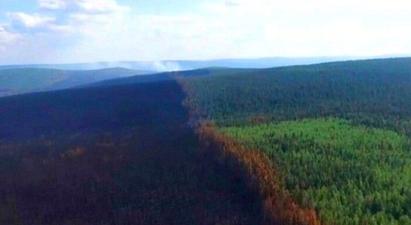 Սիբիրում 3 մլն հեկտար անտառ է այրվել. նահանագապետը անհանգստանալու կարիք չի տեսնում |shantnews.am|