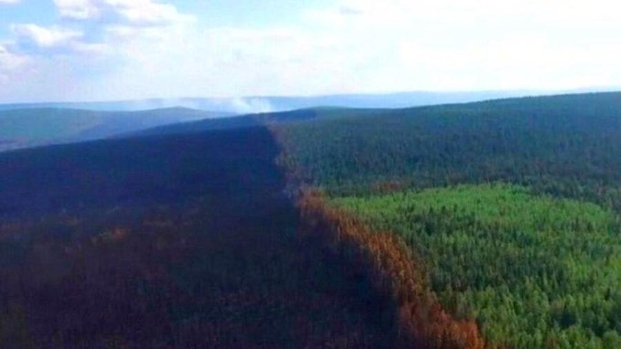 Սիբիրում 3 մլն հեկտար անտառ է այրվել. նահանագապետը անհանգստանալու կարիք չի տեսնում |shantnews.am|