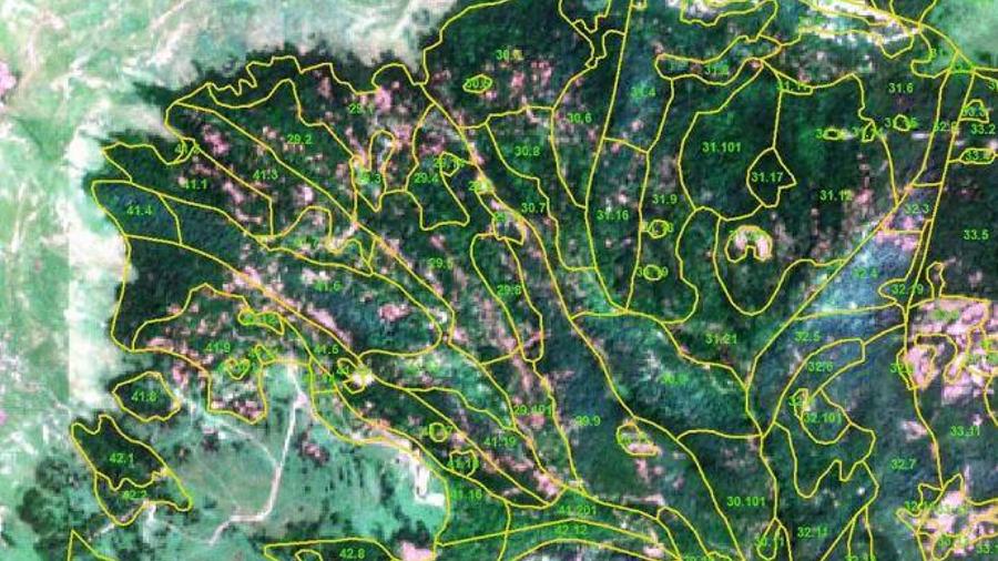 Ի՞նչ ծավալի անտառահատումներ են կատարվել Իջևանում